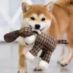 Plush Dog Toys Corduroy
