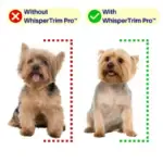 WHISPERTRIM™ PRO THE QUIET PET GROOMING SOLUTION