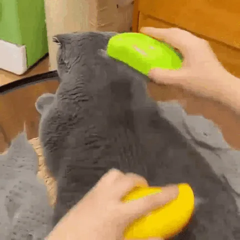 Steamy Brush in action