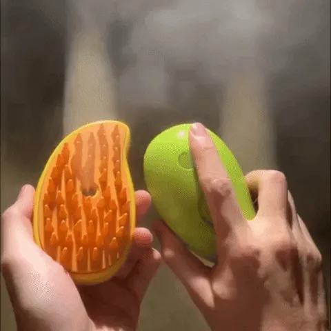 Steamy Brush spray function