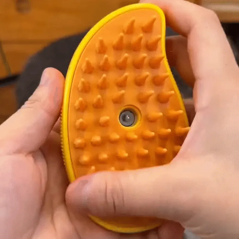 Steamy Brush spa experience