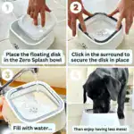 Dog Water Bowl