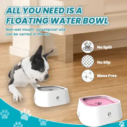 Dog Water Bowl