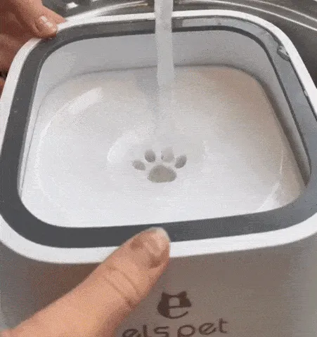 Pet Water Bowl Animation