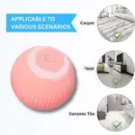 2 in 1 Simulated Interactive Hunting Cat Toy