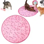 2 in 1 Simulated Interactive Hunting Cat Toy