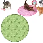 2 in 1 Simulated Interactive Hunting Cat Toy