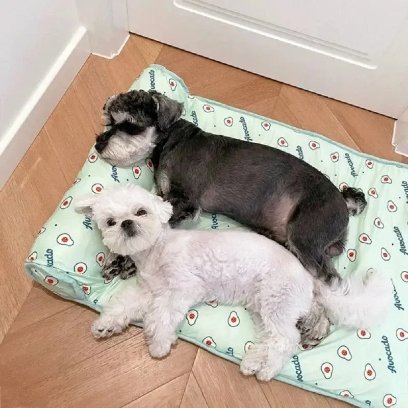 Pet cooling mat with pillow