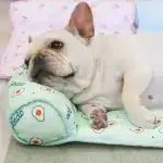 Pet Cooling Bed