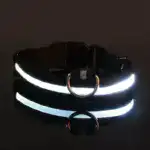 Dog Collar Nylon LED Night Safety Flashing Glow