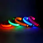 Dog Collar Nylon LED Night Safety Flashing Glow