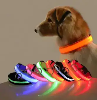Dog Collar Nylon LED Night Safety Flashing Glow