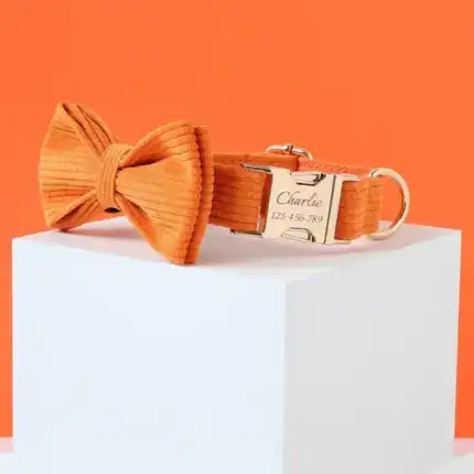 Orange Corduroy Dog Collar Bow