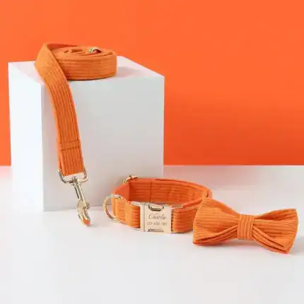 Orange Corduroy Dog Collar Bow