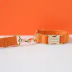 Orange Corduroy Dog Collar Bow
