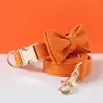 Orange Corduroy Dog Collar Bow