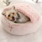Kipotek Pet Bed