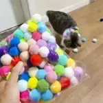Interactive Pet Toy Ball Launcher