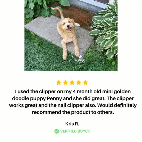 Customer review