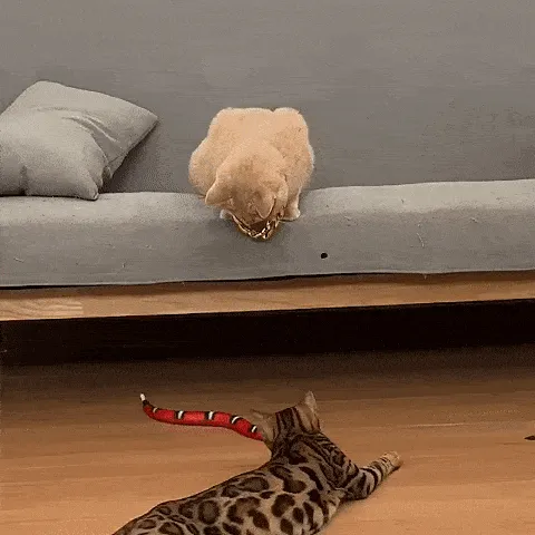 Slither Sprint in action
