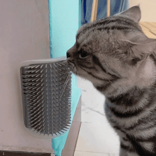 Cat Corner Massage Brush