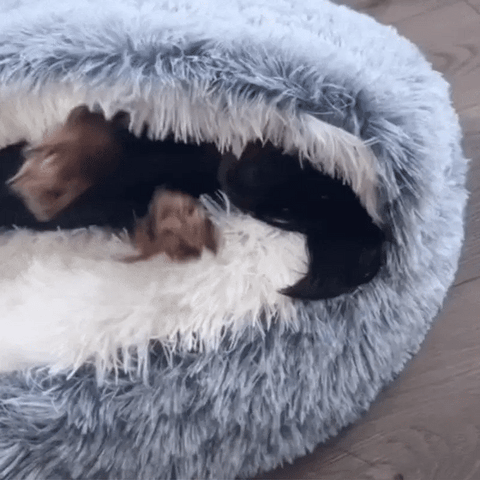 Plush Pet Bed
