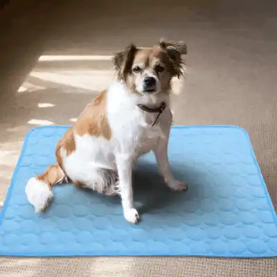 Cool Pad mat in use