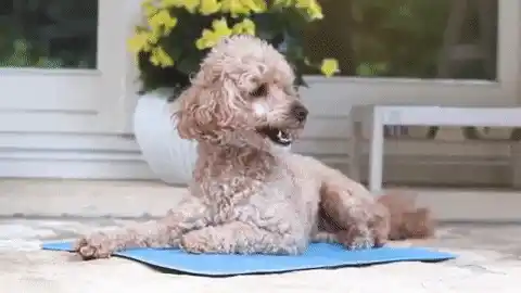 How it works animation