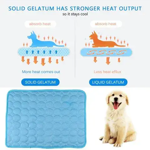 Pet resting on mat